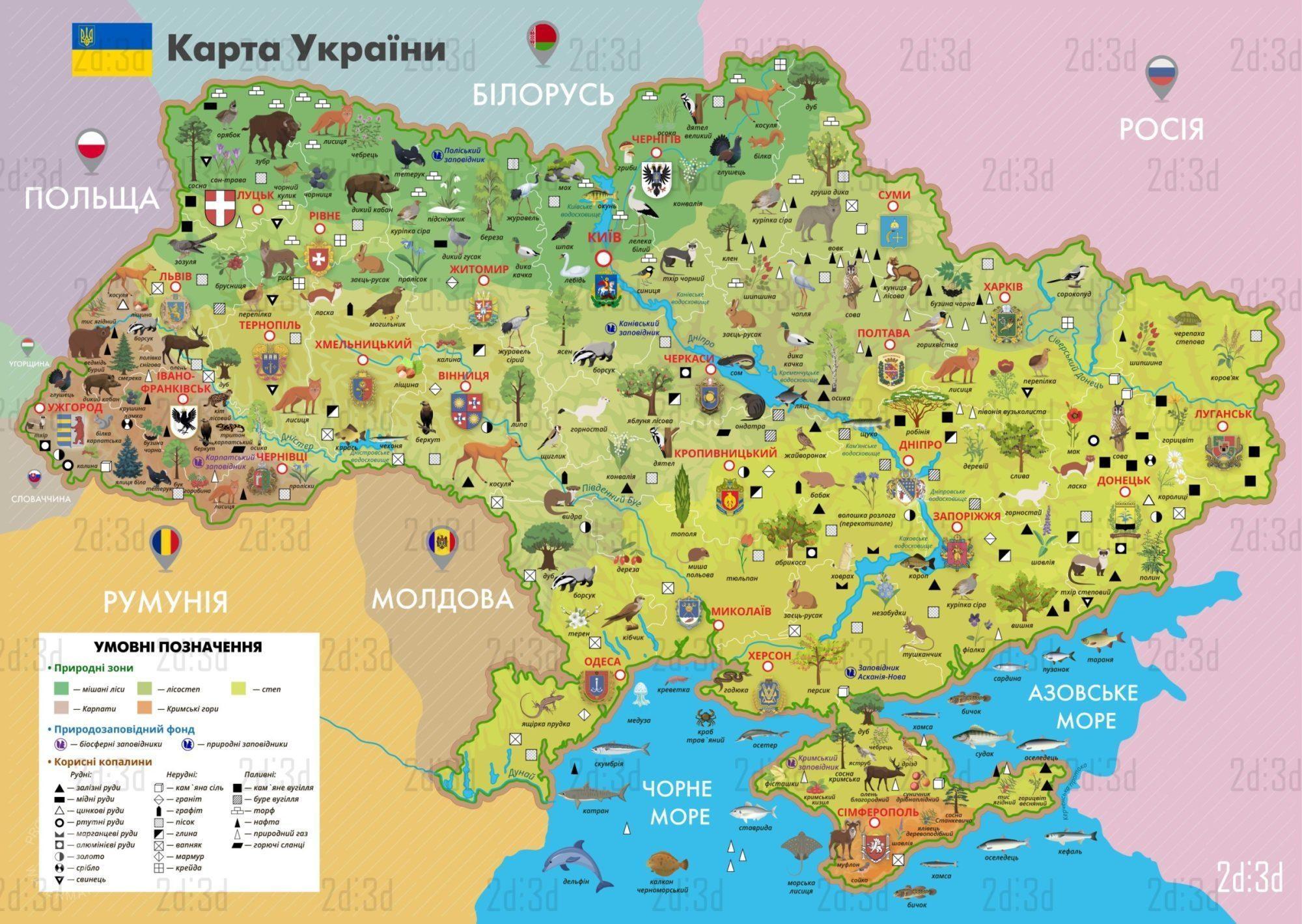 Дитяча настінна карта України від "2D3D" (2D3DNUD2100)
